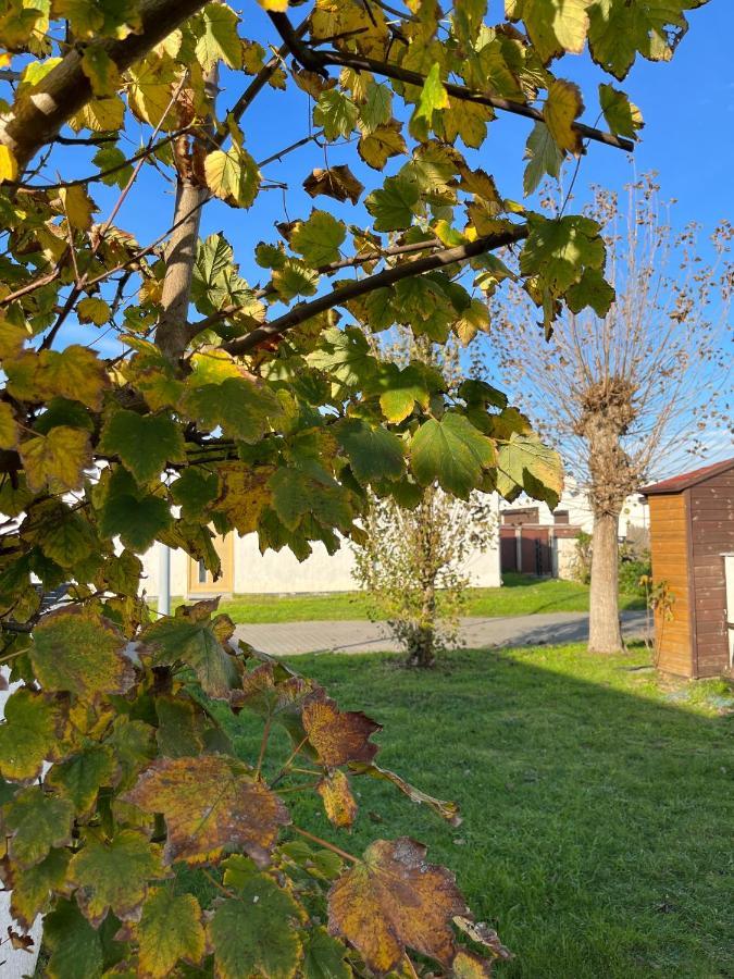 Vakantiehuisje38 Koksijde Bagian luar foto
