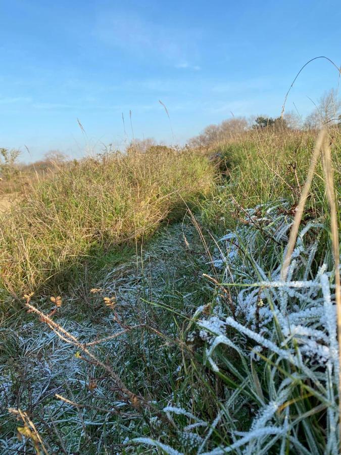 Vakantiehuisje38 Koksijde Bagian luar foto